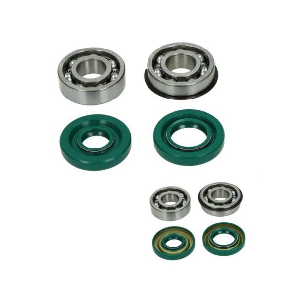 Kurbelwellenlager und Wellendichtringsatz Altes Modell